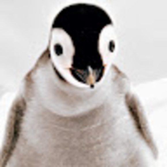 Meet your Posher, Colleen - Picture 1 of 1